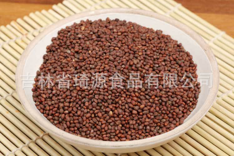 Low Temperature Baked Radish Seeds Bulk Da Luo Zi Ready to Eat Herbal Snack quality and texture