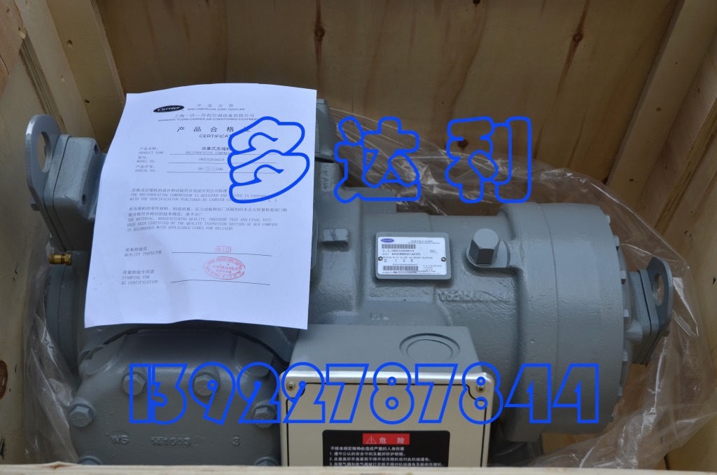 06EA299610 ѹ  ȫԭѹ