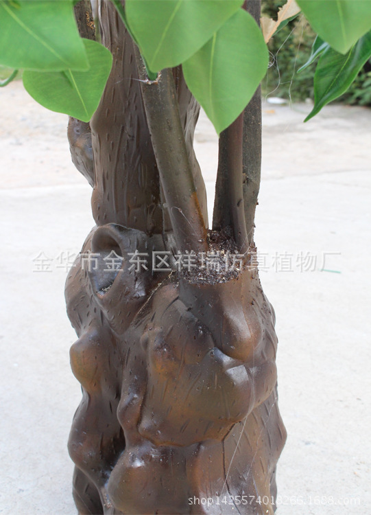 XRS-107古龙树头绿榕树1512叶150厘米3