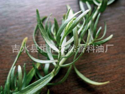 龙蒿油  CAS8016-88-4龙蒿精油    龙蒿提取物  香精香料