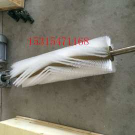 输送皮带机用电动毛刷清扫器   国龙滚刷式清扫器图片