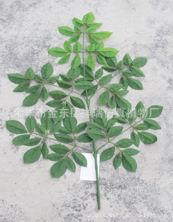 XRS-088五叉富贵叶95叶平面背