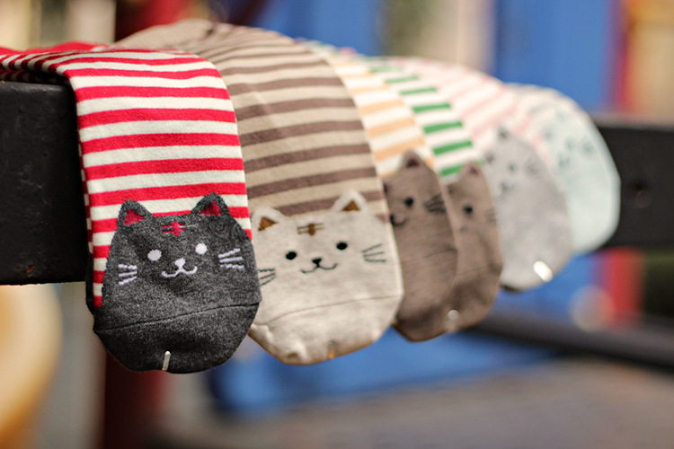 Cartoon Cat Socks 5