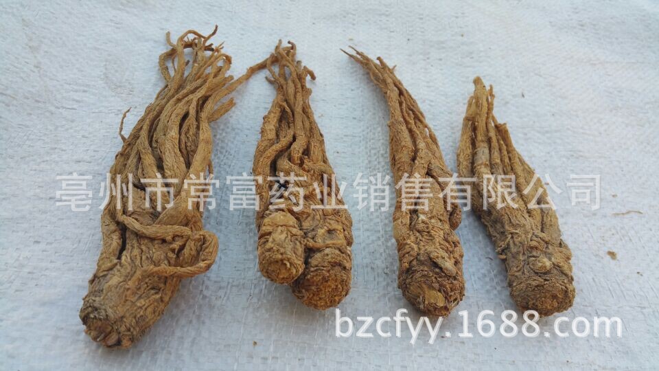 Dried Angelica Sinensis Slices Dang Gui Whole Root TCM Herbal Decoction Ingredient 500g key features