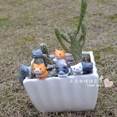 6 Micro Landscape Decoration Kitty gardening Accessories originality gift Doll Accessories