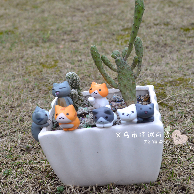 6 Micro Landscape Decoration Kitty gardening Accessories originality gift Doll Accessories