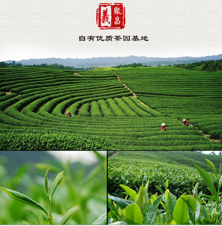 茯砖茶_12