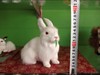 Realistic rabbit, cute jewelry, Chinese horoscope, white rabbit