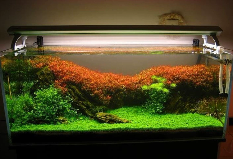 Аквариум фон бумага картина аквариум пейзаж украшения фон наклейка живопись аквариум обои фон живопись оптом