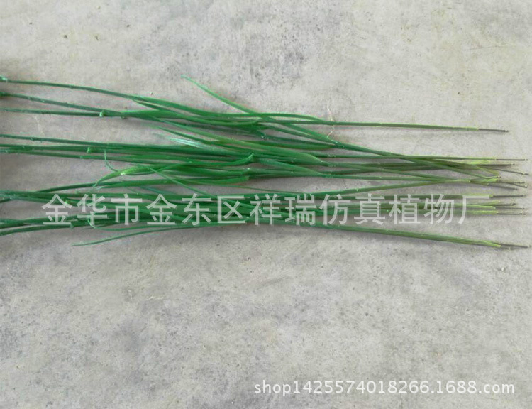 三棱草组合叶6叶子近照