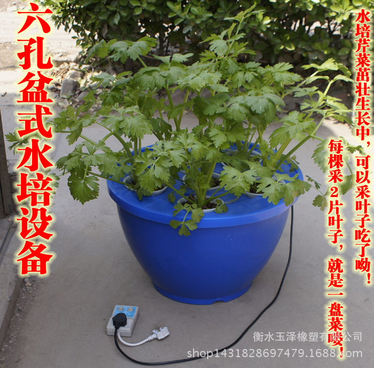 TB2rtwWbFXXXXaAXpXXXXXXXXXX-30