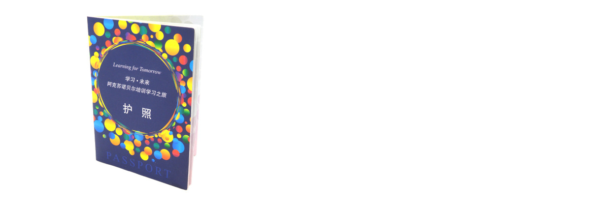 护照内局部点-01