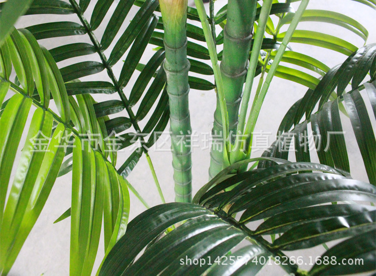 XRS-086五杆椰子叶树18叶2米叶