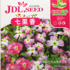 Film color bag family outfits balcony flower seeds Qili fragrant seeds Potted potted Rosal seeds about 10 capsules