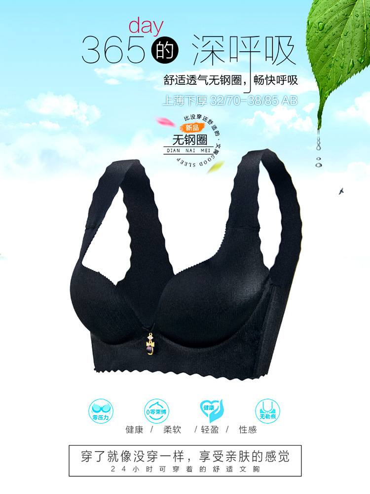 2445273877_2007300482