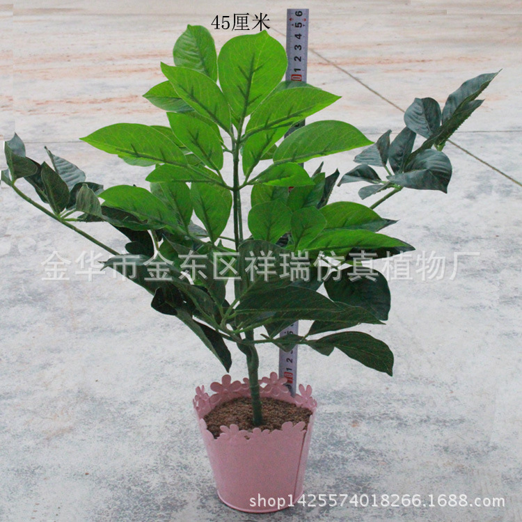 XRS-087五叉富贵叶95叶立体高