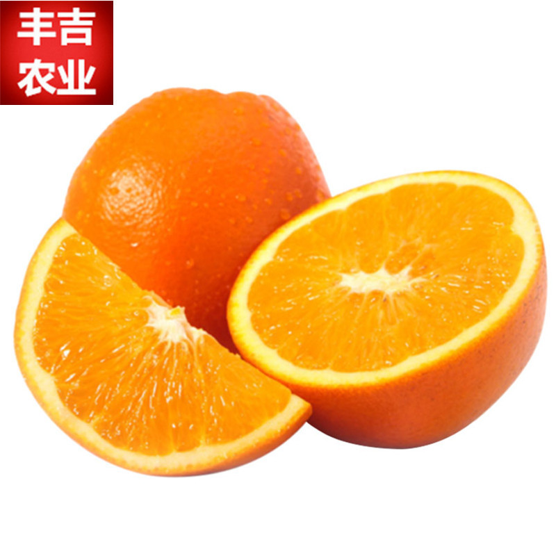 一件代发江西赣南脐橙寻乌橙子新鲜时令水果 10斤包邮|ru