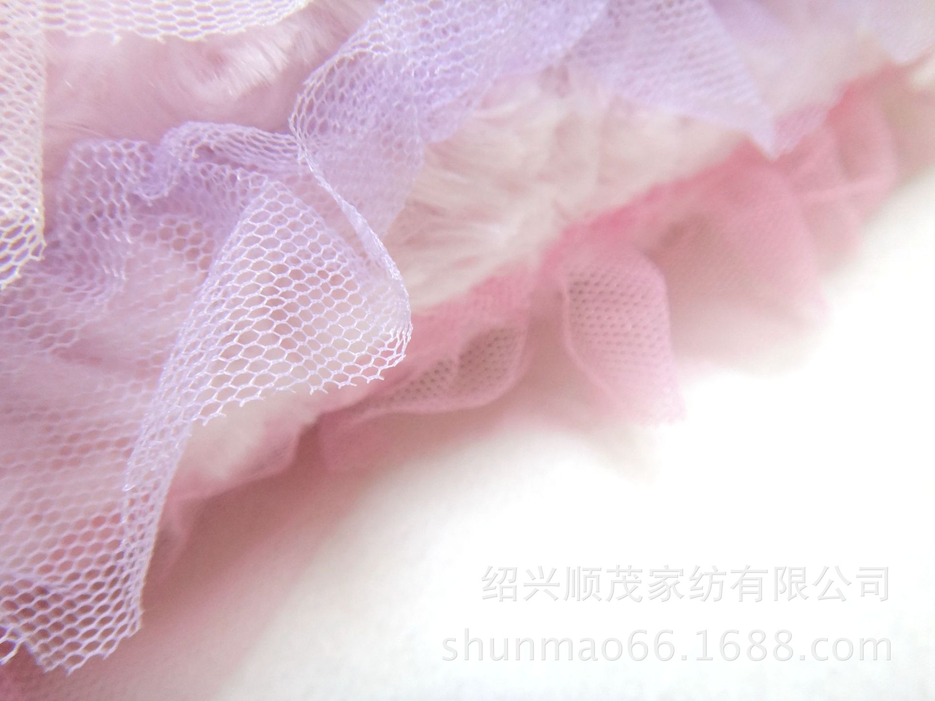 DSC06655_副本