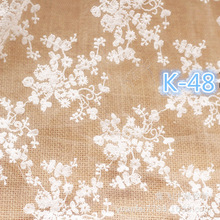K-48透明网花边绣婚纱蕾丝刺绣面料绣花布DIY服装辅料满幅匹装