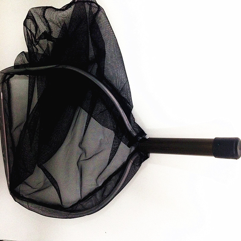 QQ图片20151115085158_副本