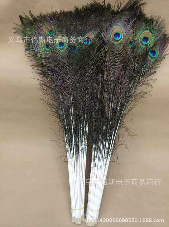 EB0652C229A398DCC887EE164A8AB8