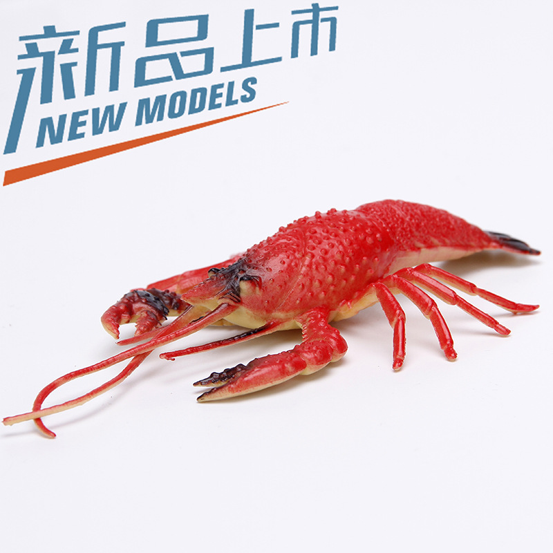 realistic marine animal model