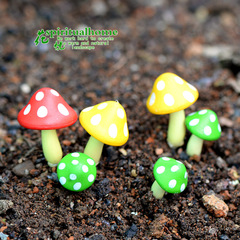 Micro-landscape cartoon mushroom succulent moss micro-landscape ornament scenic DIY plant three-color set