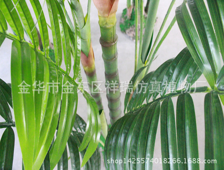 XRS-085四杆椰子叶树15叶170厘米叶1