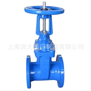 上海滨大阀门生产Z41X-16 软密封闸阀 明杆弹性座封闸阀DN100