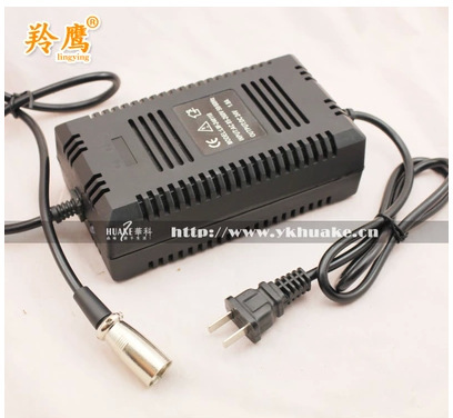 Electric car accessories electric car smart charger 24V /36V 48V microphone plug three-pin carnong