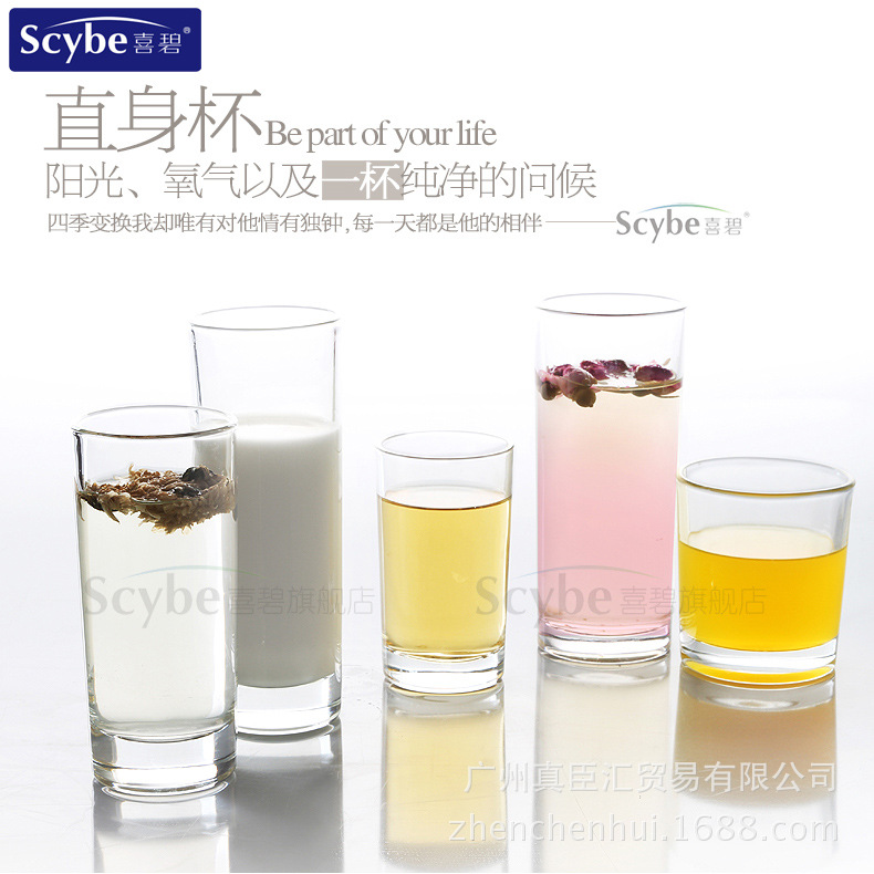 Hi Bi SCYBE transparent Glass circular Water cup Filo about Straight Cup 280ml CMD0107