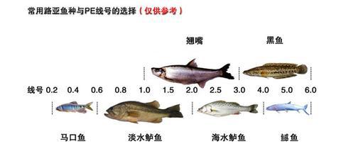 u=3577567640,3532005794&fm=21&