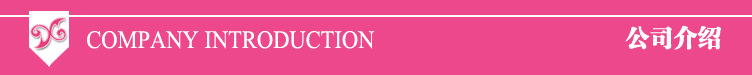 公司介绍