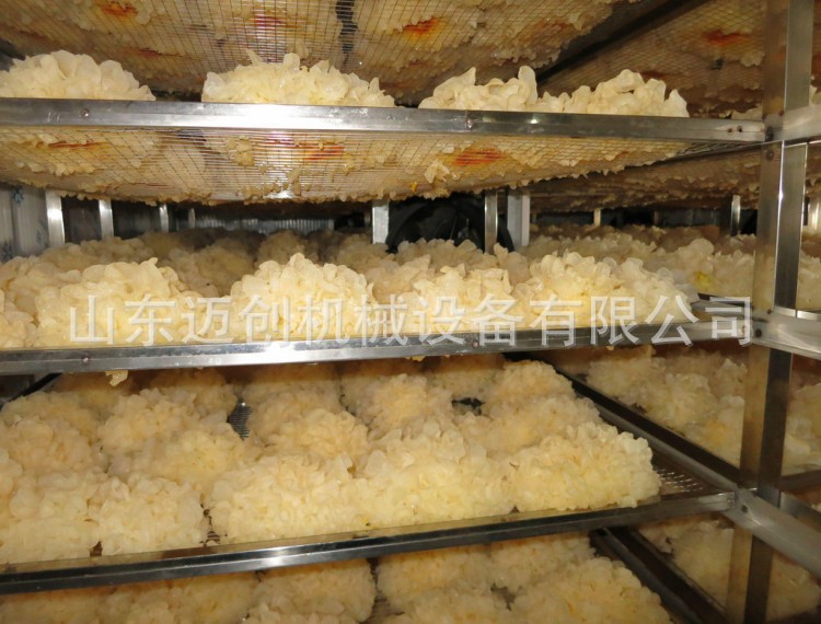 wKhQslMxqgeEG2nZAAAAAKbHt-A561