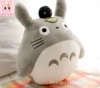 Xiaobi on the top of the head