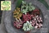 Moss Micro -Landscape Plants DIY Creative Gift Landscape Plants Special Pure Bressor Forest Flame Net