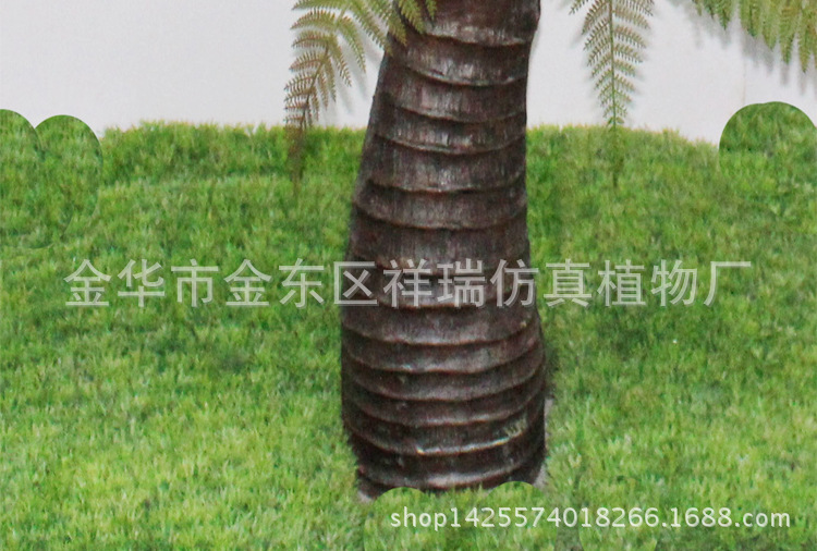 XRS-040l罗汉桫椤叶树71叶130厘米4