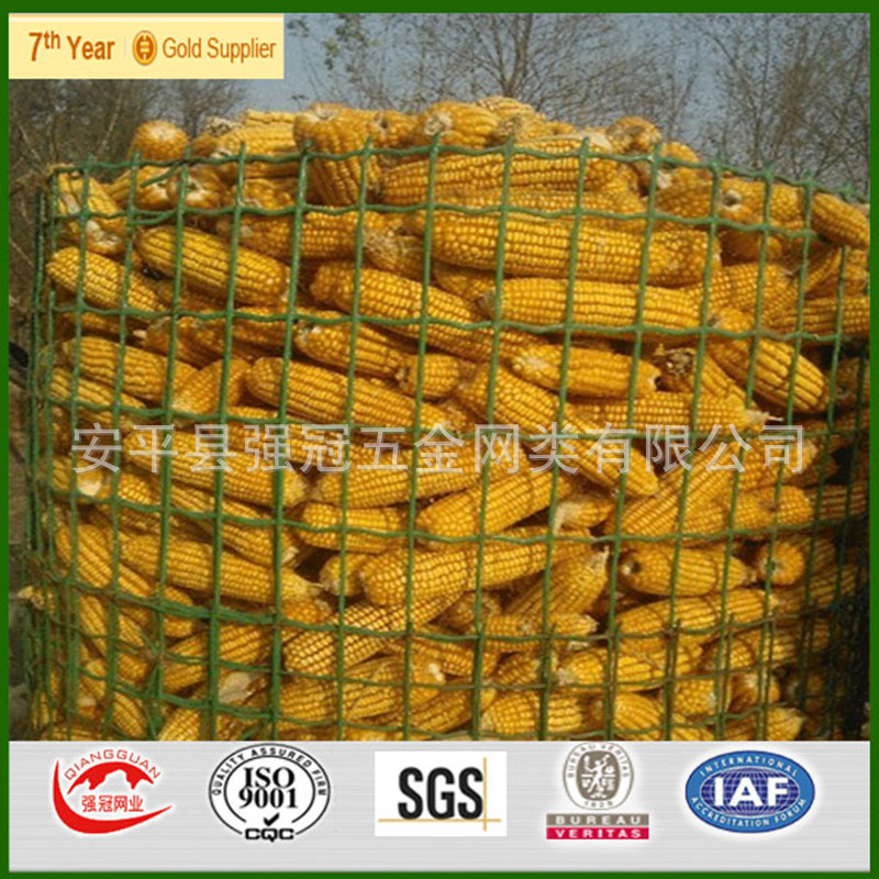 厂家现货促销 优质圈玉米网 电焊铁丝网 荷兰网