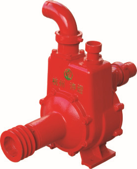 BPS-65铸铁双叶轮双吸入排污离心水泵