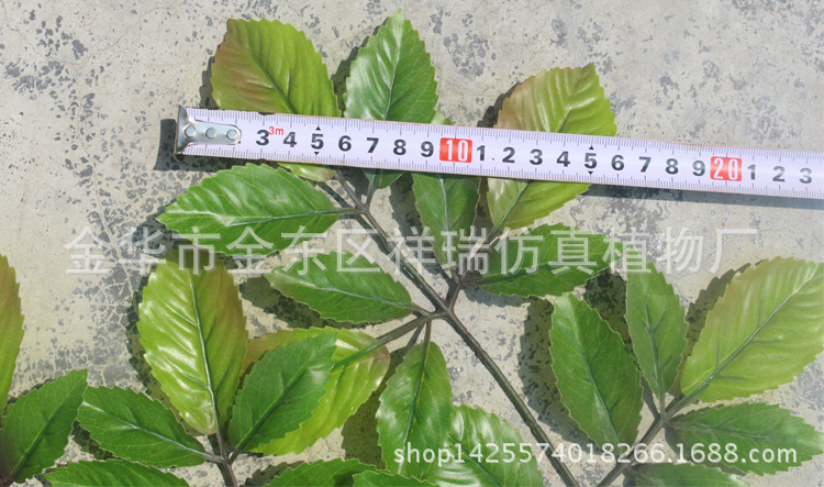 XRB-110榆树叶5叉枝95叶77厘米叶1