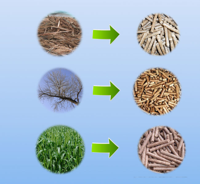 2110126976_2044683355