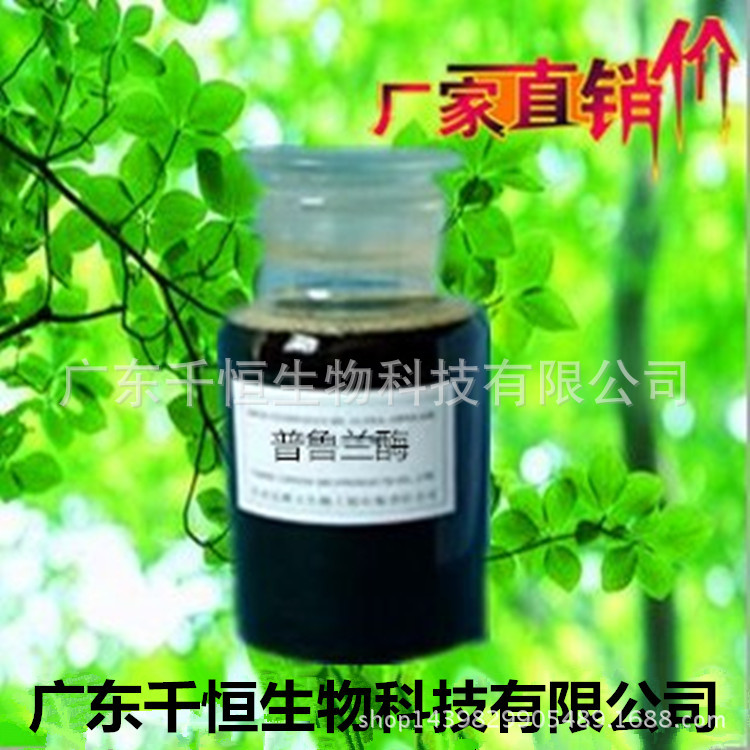 广东千恒期长期供应酶制剂普鲁兰酶 食品级普鲁兰酶