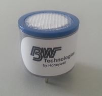 BW 单一气体 GAXT-H 硫化氢检测仪 H2S传感器更换标定