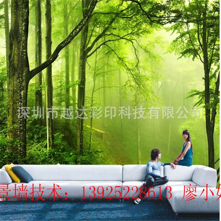 背景墙3D风景效果