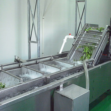 蔬菜清洗機氣泡式葉菜類清洗機青豆苗香菜芽菜清洗機