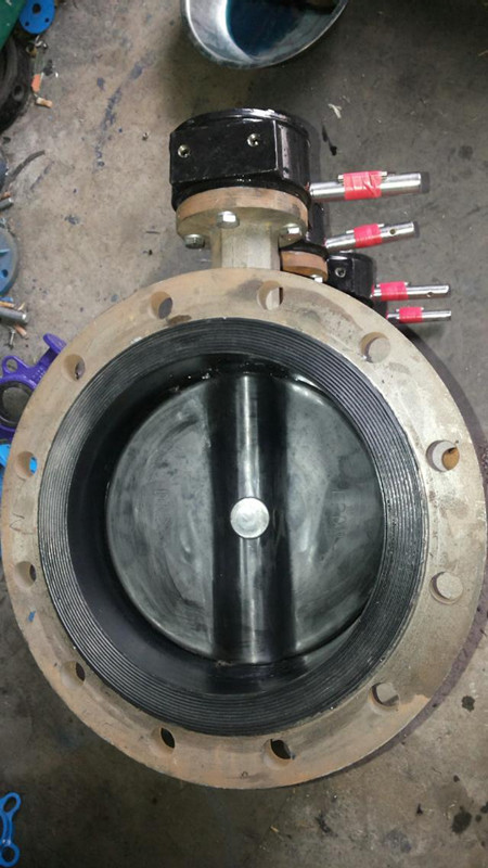 D373W法兰式316不锈钢硬密封蝶阀