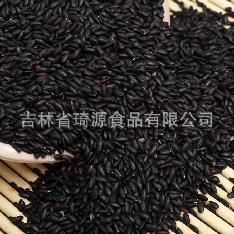 Low Temperature Baked Cooked Black Rice Hei Mi Whole Grain Loose Bulk 1 Jin quality and texture