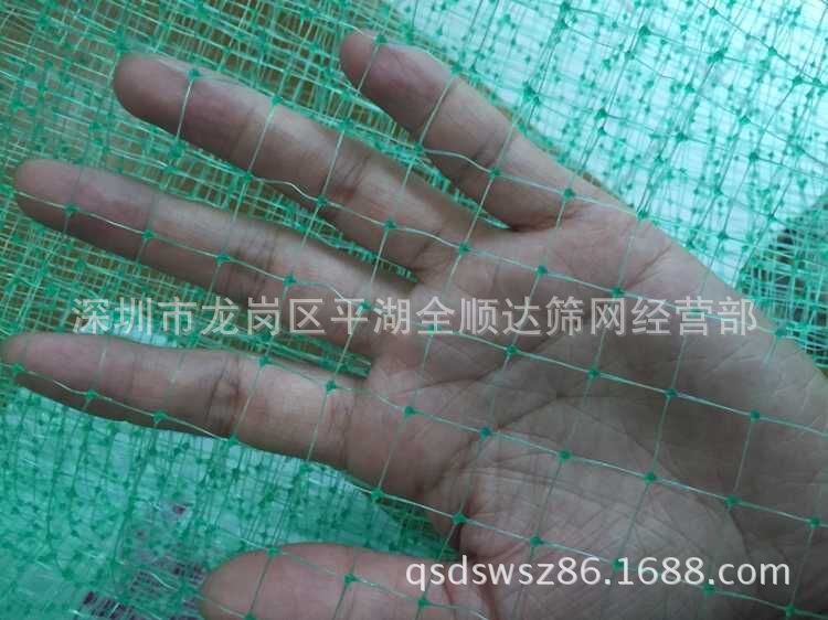 供应防鸟网 方形塑胶网  全顺达筛网
