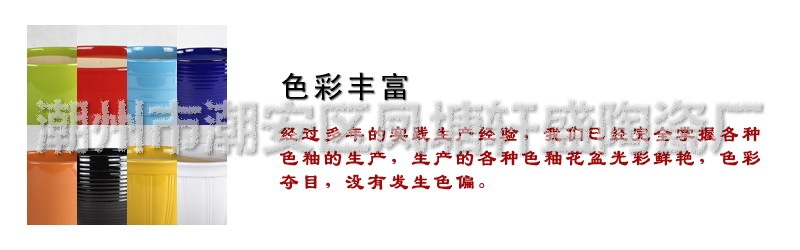1色彩多样