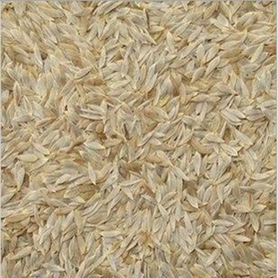 ���Ą�����ș�Ĺ������n�����n���Ӿބ���������1000��